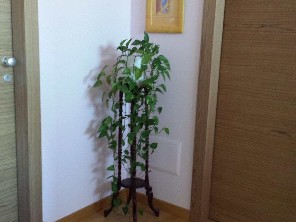 ארצו Garden B&B מראה חיצוני תמונה
